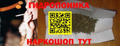 jwh Пыть-Ях
