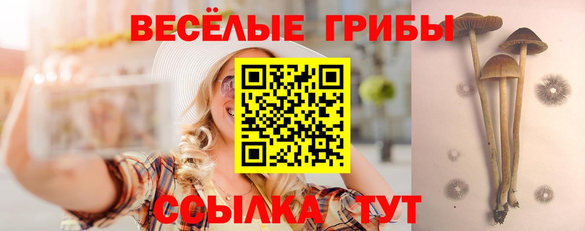 Галлюциногенные грибы Psilocybine cubensis  Вход с VPN  Псилоцибиновые грибы Psilocybine cubensis  Орёл 
